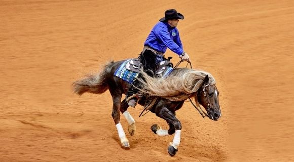 reining